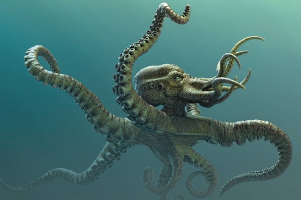 Kraken 16at сайт