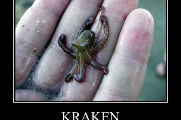 Kraken 7 org