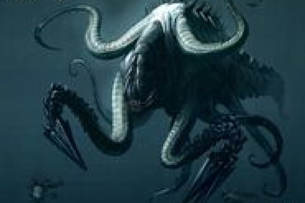 Kraken onion link