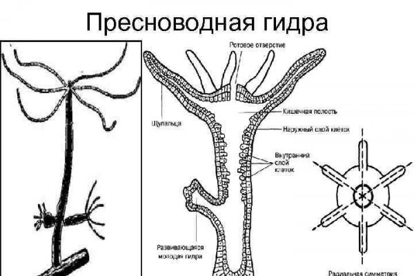 Кракен официальный сайт 2krnk cc