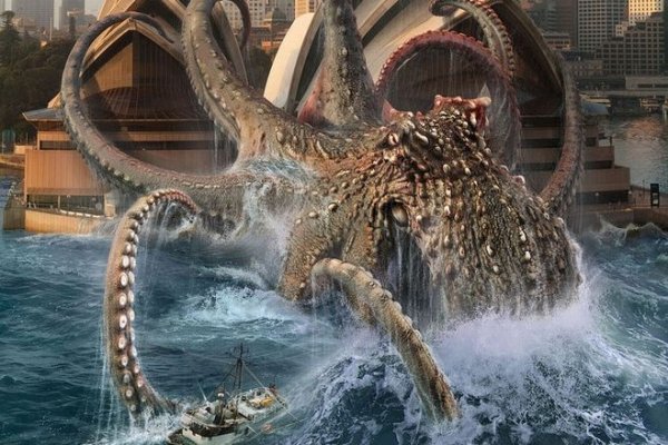 Ссылка на магазин kraken