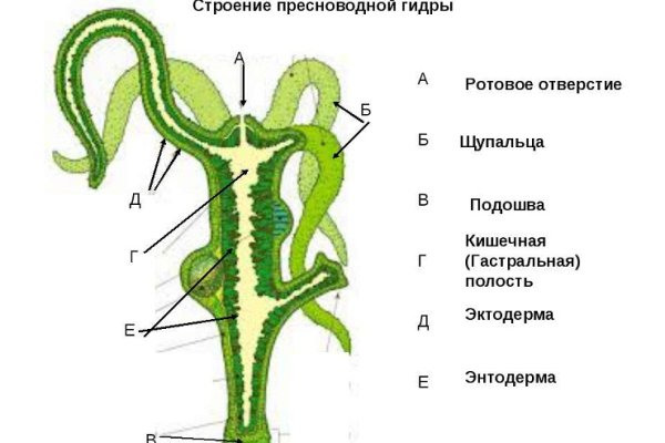 Ссылка на кракен 14ат